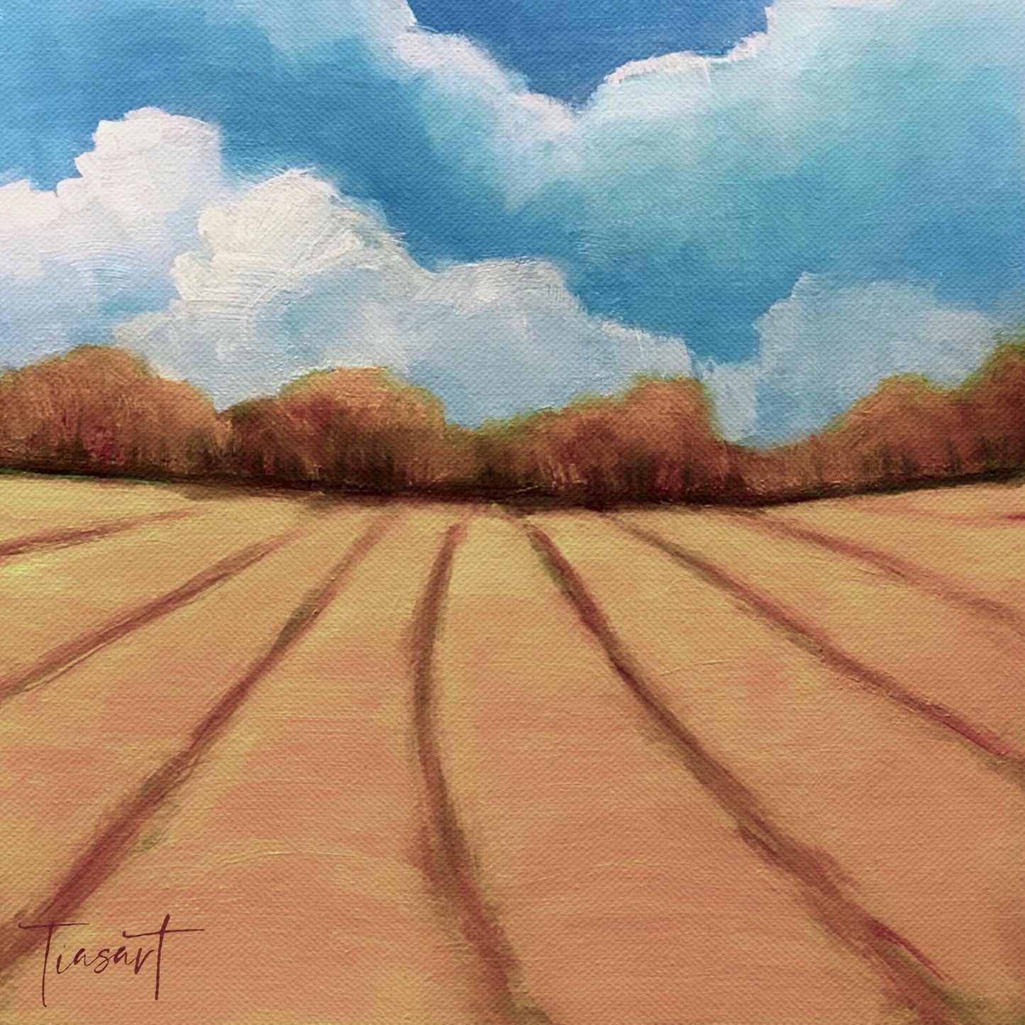 Fall Field
