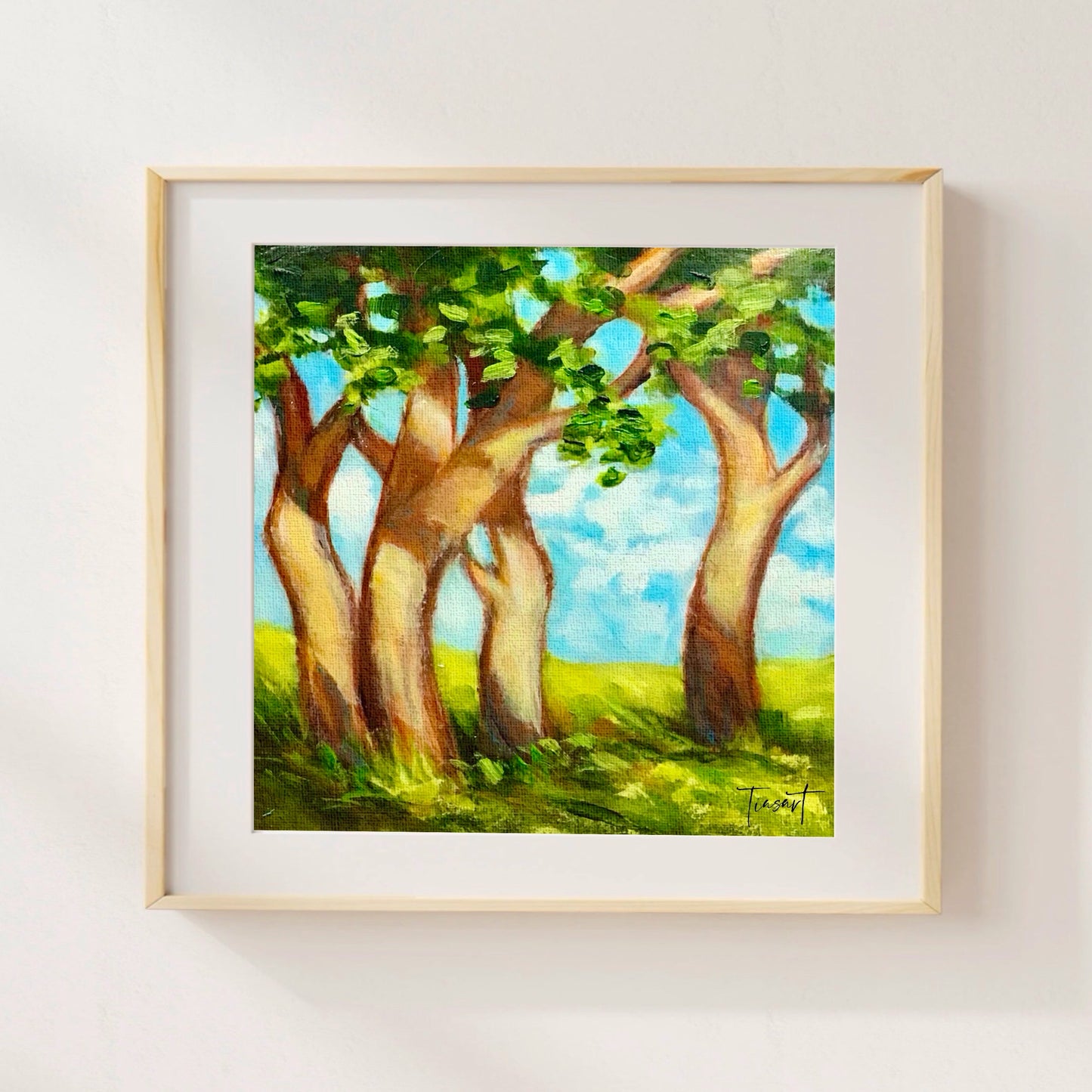 Shaded Trees