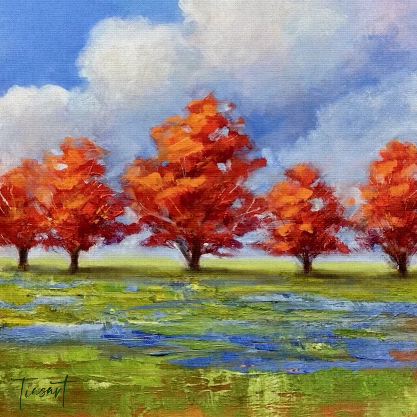 Fall Foilage