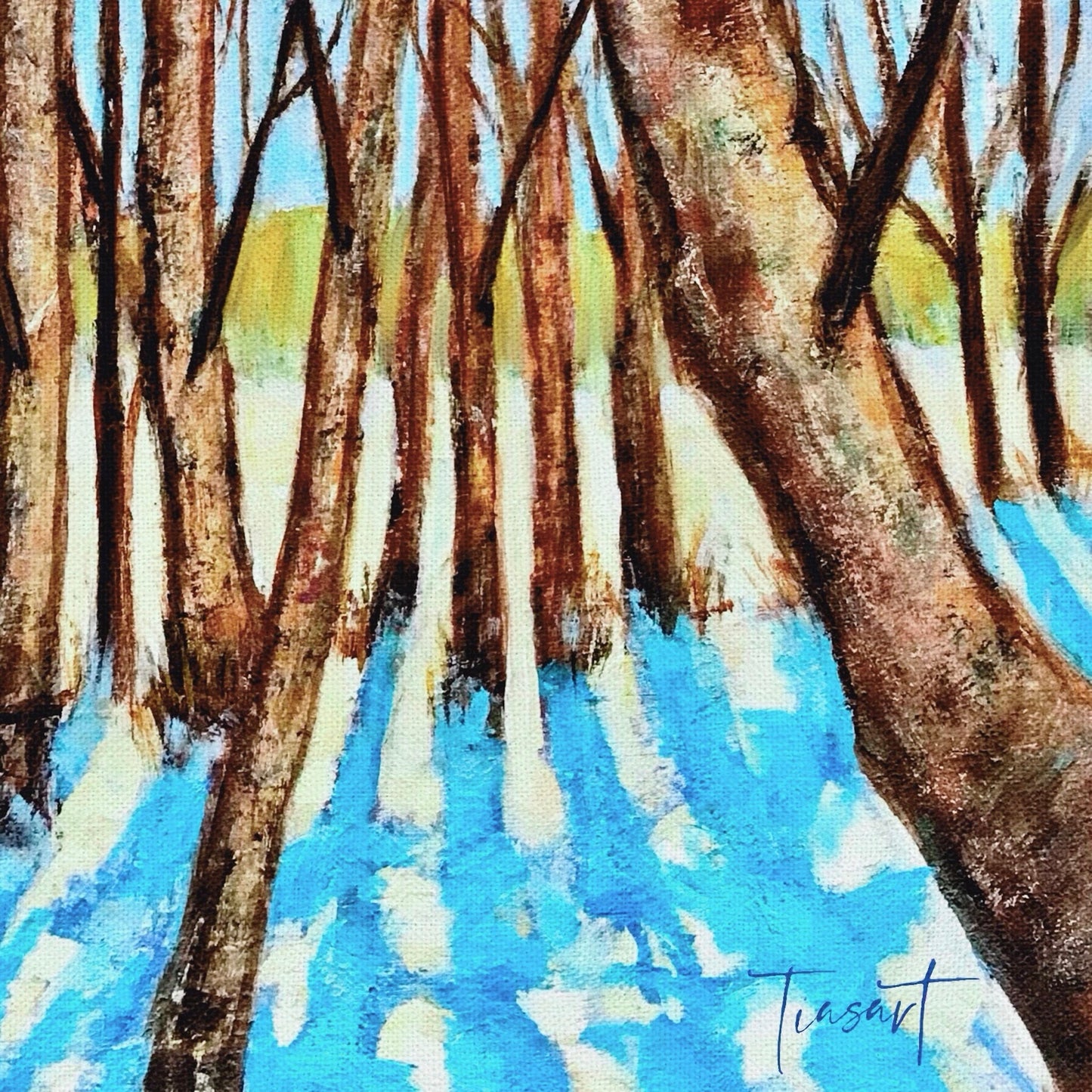 Winter Shadows