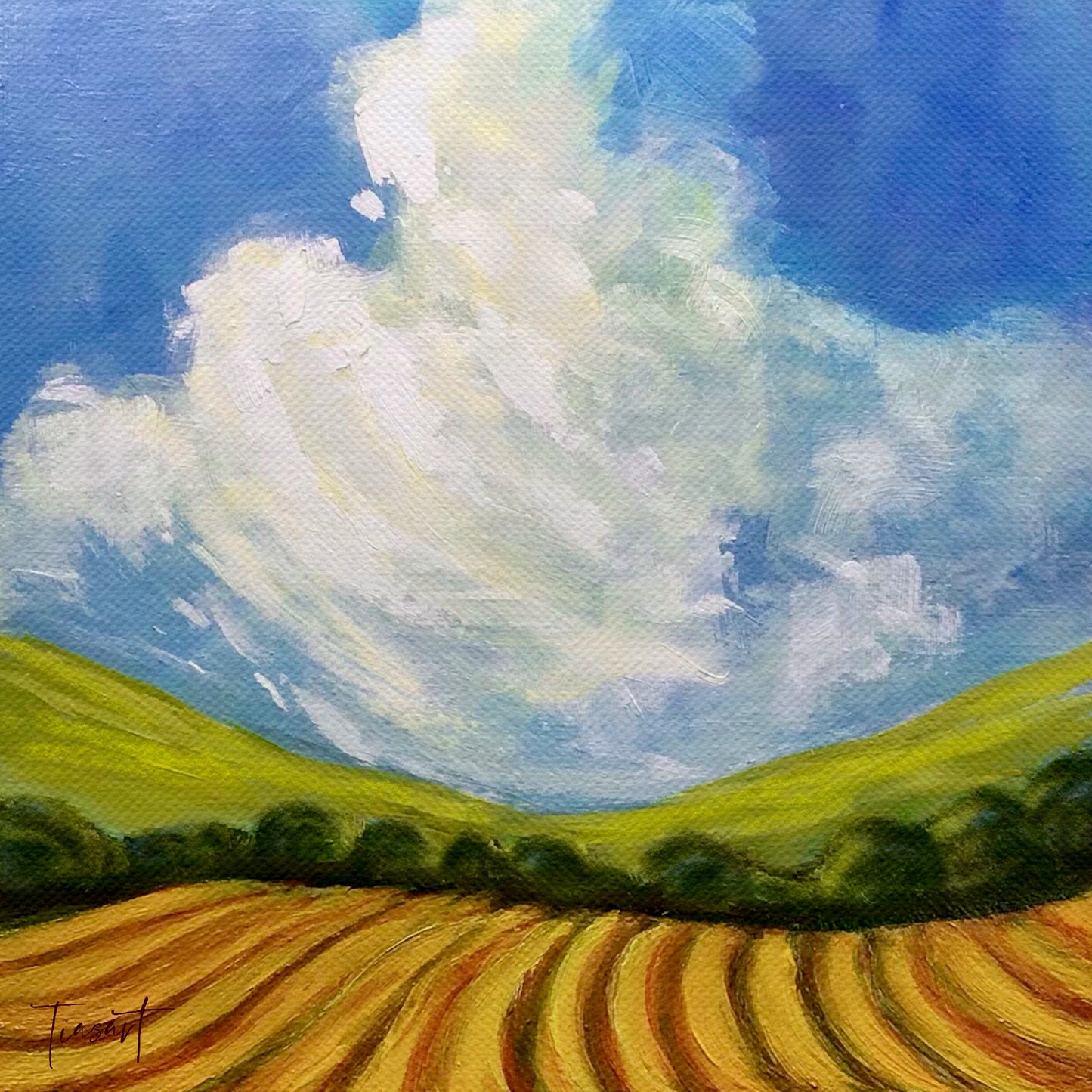 Sweeping Cloud over Wooster Field