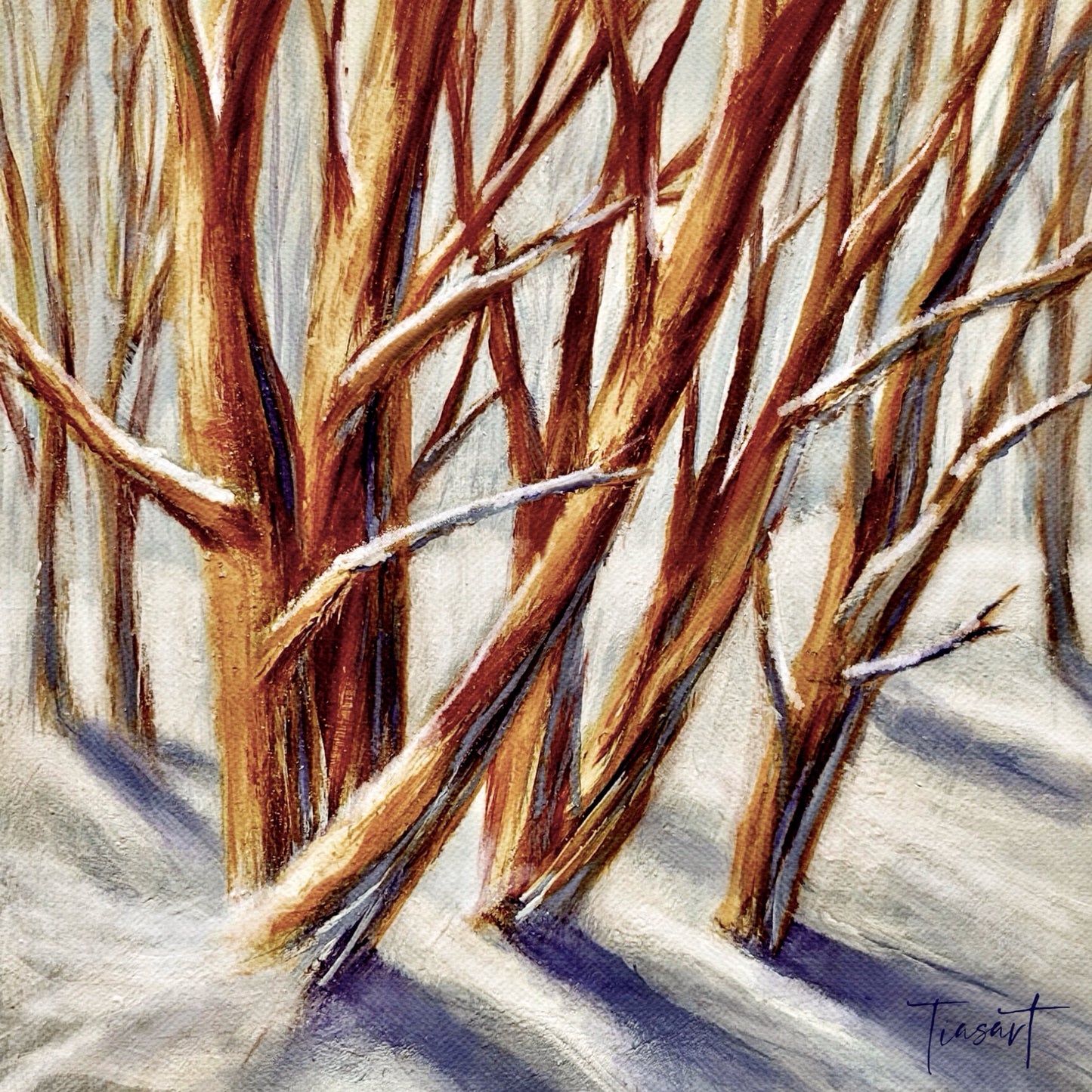 The Calm in the Woods