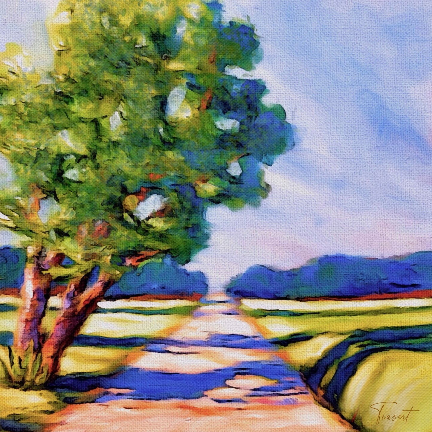 Blue Shadows Along the Path