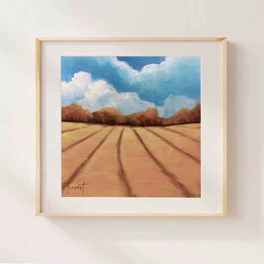 Fall Field