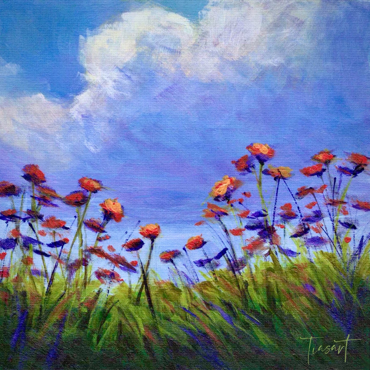 Field Poppies