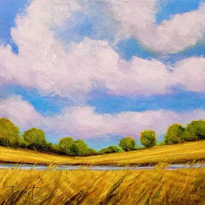 Peaceful Field